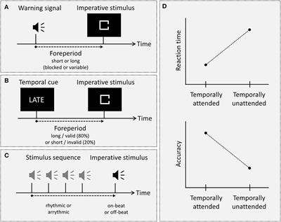 Temporal attention